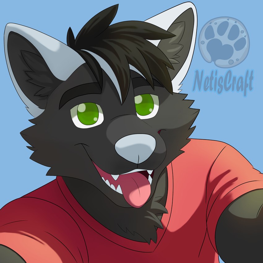 anthro chest_tuft clothing fur green_eyes grey_body grey_fur grey_hair hair male red_clothing red_shirt red_topwear selfie shirt solo tongue tongue_out topwear tuft netiscraft canid canine canis mammal wolf 1:1 hi_res