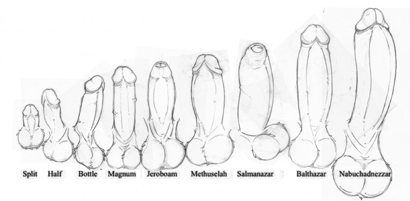 anatomically_correct anatomically_correct_genitalia anatomically_correct_penis anatomy balls big_penis chart circumcised comparison disembodied_penis erection foreskin fuzzy_balls genital_shot genitals how-to huge_penis humanoid_genitalia humanoid_penis male male/male partially_retracted_foreskin penis penis_chart penis_sheet penis_shot penis_size_difference retracted_foreskin simple_background small_penis text white_background zero_pictured neenya mammal 2018 english_text hi_res line_art monochrome traditional_media_(artwork)