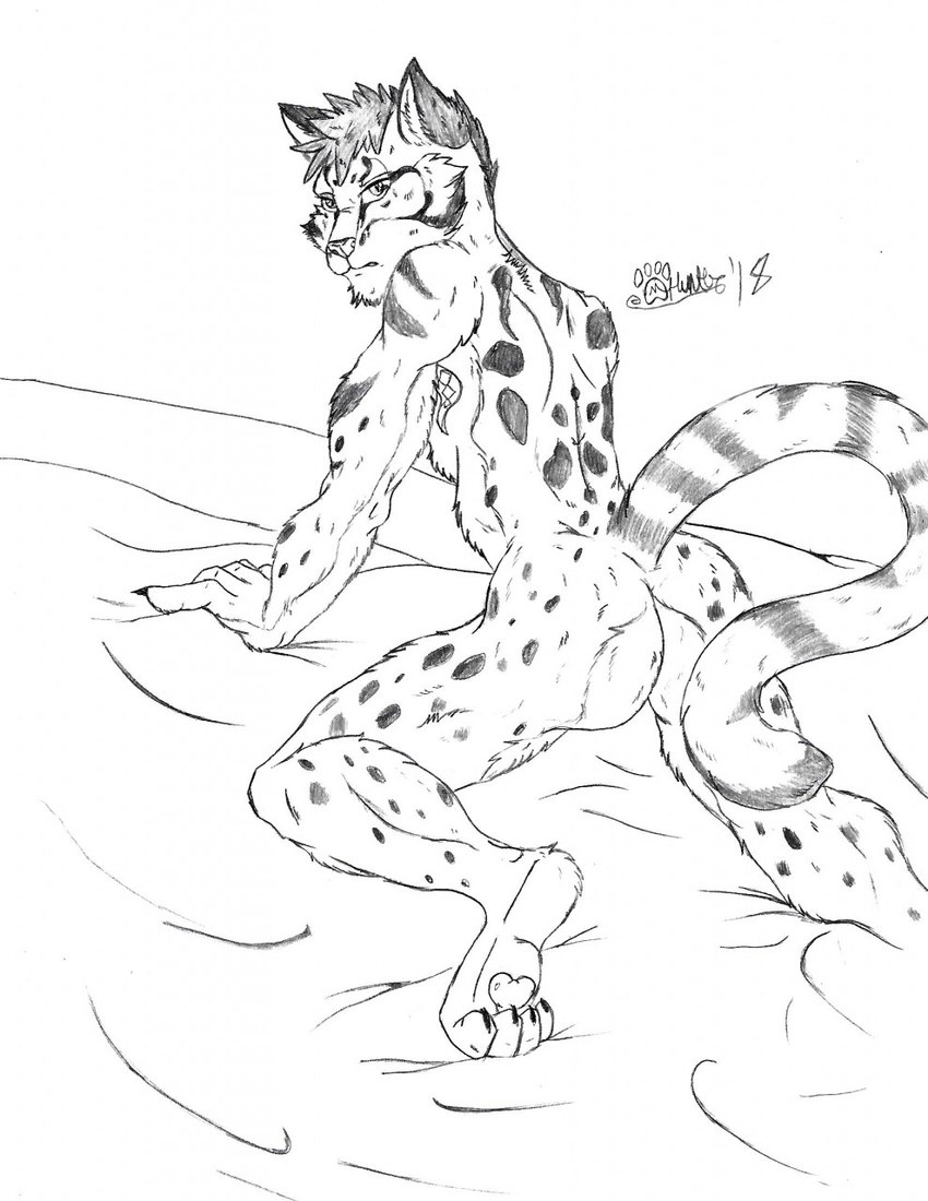 anthro bed_sheet bedding butt claws fur hair half-closed_eyes looking_at_viewer looking_back male narrowed_eyes nude raised_tail solo tail toe_claws marcushunter nekojishi studio_klondike likulau felid leopard mammal pantherine 2018 hi_res signature