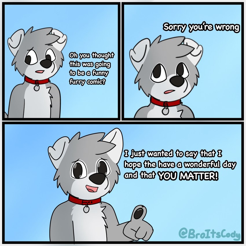 3_panel_comic anthro black_eyes black_nose black_pawpads chest_tuft collar dialogue floppy_ears fur grey_body grey_fur grey_hair grey_tail hair male monotone_hair multicolored_body multicolored_fur pawpads solo speech_bubble tail tuft two_tone_body two_tone_fur two_tone_tail white_body white_ears white_fur white_tail broitscody cody_(broitscody) canid canine canis domestic_dog husky mammal nordic_sled_dog spitz 1:1 2020 comic hi_res watermark