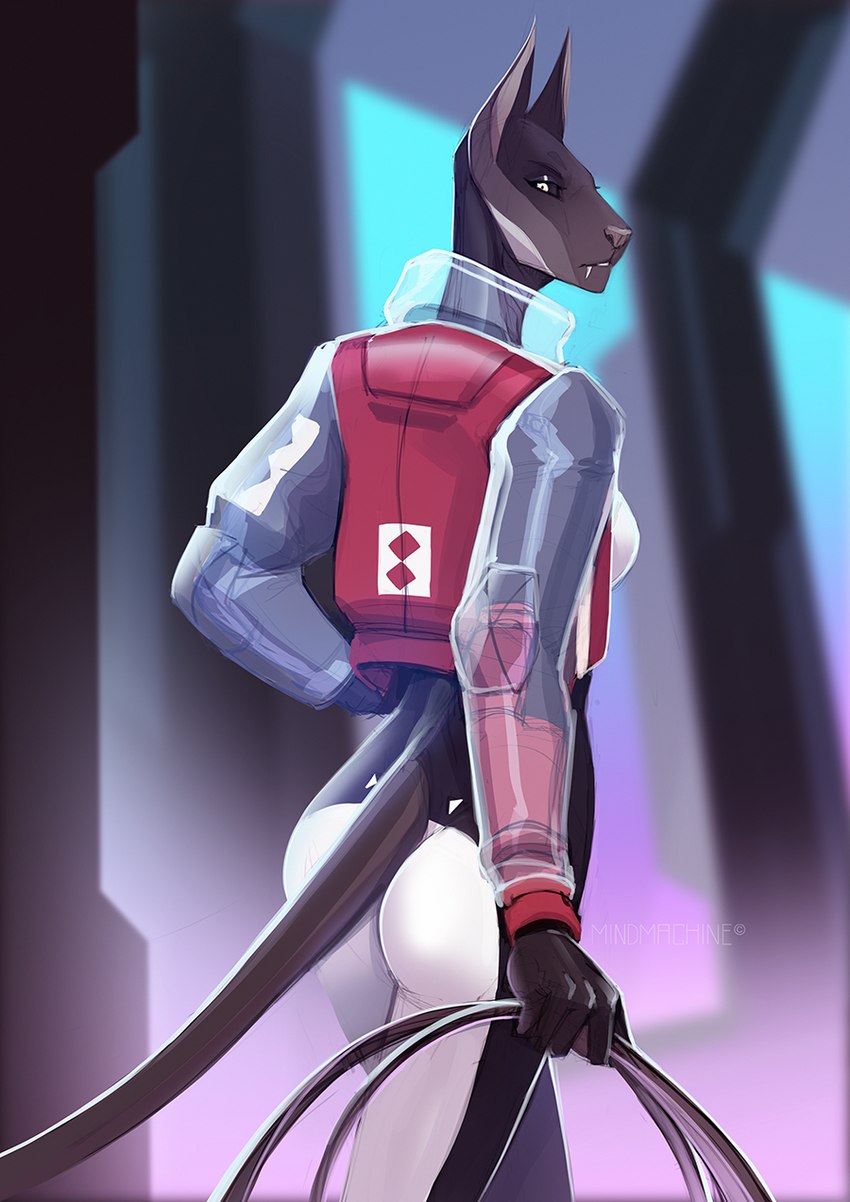 anthro butt clothing college_jacket female jacket looking_at_viewer looking_back looking_back_at_viewer solo tight_clothing topwear whip mindmachine acrador_project nivara_(blackoutarts) acrador canid canine canis jackal mammal 2023 hi_res sketch