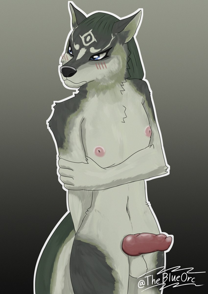 animal_genitalia animal_penis anthro anthrofied balls blue_eyes blush canine_genitalia canine_penis embarrassed erection genitals male nipples nude nude_male penis solo theblueorc nintendo the_legend_of_zelda the_legend_of_zelda:_twilight_princess link_(wolf_form) canid canine canis mammal wolf absurd_res hi_res