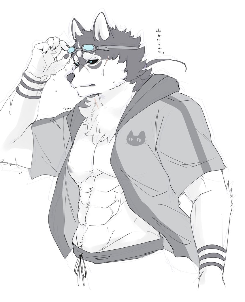 abs anthro bottomwear clothing eyewear goggles male muscular muscular_anthro muscular_male nipples pecs short_sleeve_hoodie shorts solo wet wet_body izm_rm7 lifewonders tokyo_afterschool_summoners masanori_(tas) canid canine canis domestic_dog mammal absurd_res hi_res