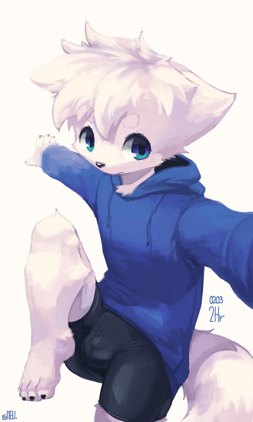 anthro blue_eyes bottomwear bulge clothing detailed_bulge fur hair hoodie male shorts simple_background solo spandex spandex_shorts tight_bottomwear tight_clothing tight_shorts topwear white_background white_body white_fur white_hair young young_male arcticneu neu_(arcticneu) canid canine fox mammal 3:5 hi_res