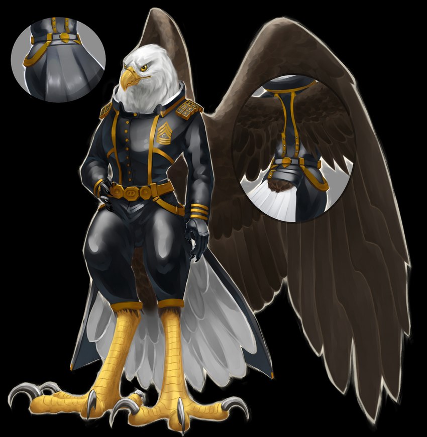 anthro athletic avian_feet award beak black_claws black_clothing bottomwear brown_body brown_feathers claws clothing cutaway feathered_wings feathers feet gloves gold_(metal) gold_belt gold_trim hand_on_hip handwear leather leather_clothing leather_gloves leather_handwear male medal pants scales shirt solo tail tail_feathers talon_hands talons toes topwear white_body white_feathers wings yellow_body yellow_eyes yellow_scales dsw7 alcander accipitrid accipitriform avian bald_eagle bird eagle sea_eagle 2023 absurd_res alpha_channel hi_res