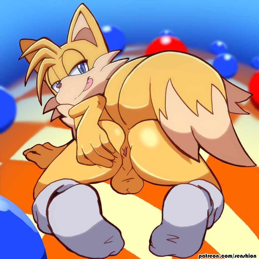 miles prower (sonic the hedgehog (series) and etc) created by senshion