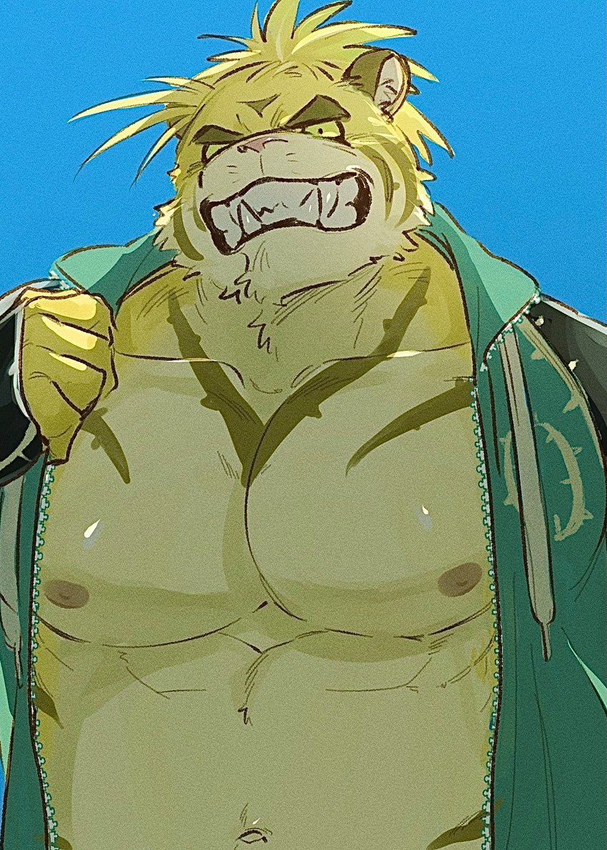 anthro big_fangs clothed clothing fangs fur green_eyes hair hoodie male musclegut muscular muscular_male navel open_clothing open_hoodie open_topwear pecs ponytail solo stripes tan_body tan_fur teeth topwear yellow_body yellow_fur wani_jima lifewonders tokyo_afterschool_summoners macan_(tas) felid mammal pantherine tiger hi_res