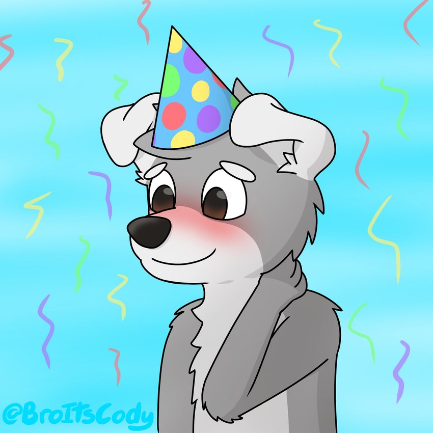 anthro black_nose blush brown_eyes chest_tuft clothing collar confetti_streamer embarrassed floppy_ears fur grey_body grey_fur grey_hair grey_tail hair hand_on_neck hat headgear headwear male monotone_hair multicolored_body multicolored_fur party_hat simple_background solo tail tuft two_tone_body two_tone_fur two_tone_tail white_body white_ears white_fur white_tail broitscody cody_(broitscody) canid canine canis domestic_dog husky mammal nordic_sled_dog spitz 1:1 2021 hi_res watermark