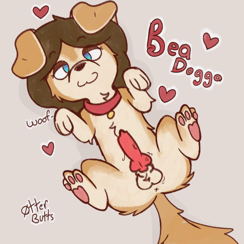 animal_genitalia animal_penis balls canine_genitalia canine_penis erection feral fur genitals knot knotted_penis looking_at_viewer nude penis simple_background solo tail otterbutts ashe_(beadoggo) bird_dog canid canine canis domestic_dog golden_retriever hunting_dog mammal retriever 1:1 sketch trans_(lore) trans_woman_(lore)