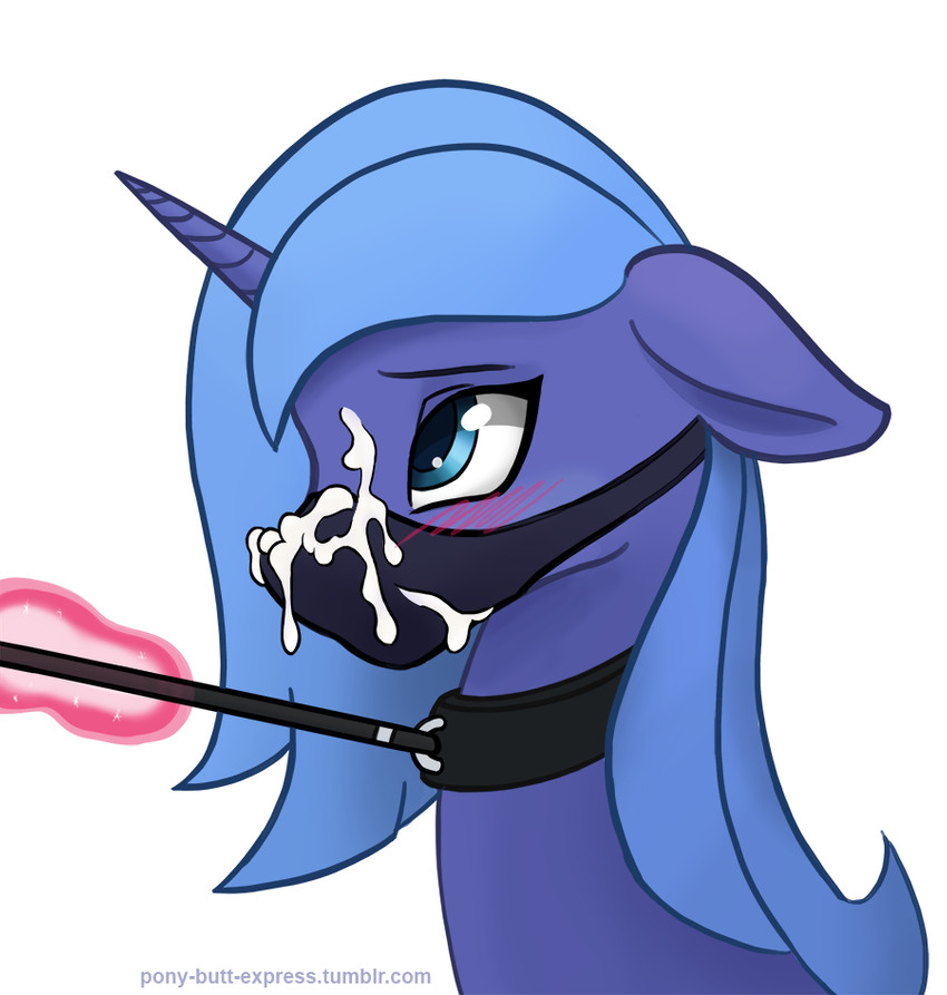princess luna (friendship is magic and etc) created by pony-butt-express and ponyexpress