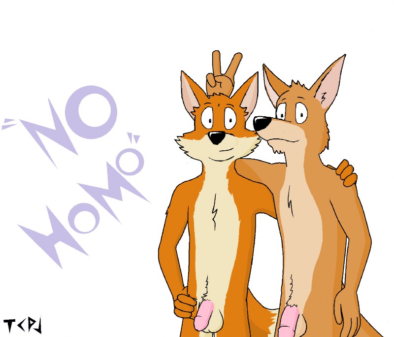 anthro balls bunny_ears_(gesture) duo flaccid genitals gesture humanoid_genitalia humanoid_penis looking_at_viewer male no_homo nude penis pose simple_background smile standing stated_heterosexuality stated_sexuality text toony young young_anthro paintfox dan_(paintfox) josh_(paintfox) canid canine fox kangaroo macropod mammal marsupial 2014 digital_media_(artwork) hi_res microsoft_paint_(artwork)