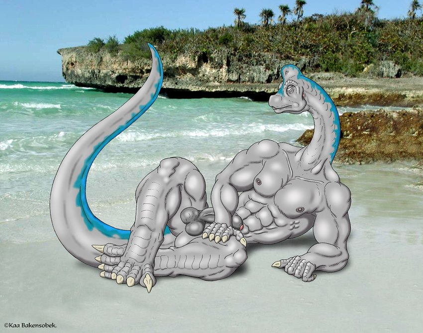 4_toes 5_fingers anthro balls beach big_balls big_penis big_tail blue_markings claws eyes_closed feet fingers flaccid foreskin genitals grey_body grey_scales lying male markings muscular muscular_male nipples nude nude_anthro outdoor_nudity outside penis photo_background scales solo tail toes kaa_bakensobek brachiosaurid brachiosaurus dinosaur prehistoric_species reptile sauropod sauropodomorph scalie 2006 artist_name digital_media_(artwork) hi_res photography_(artwork)