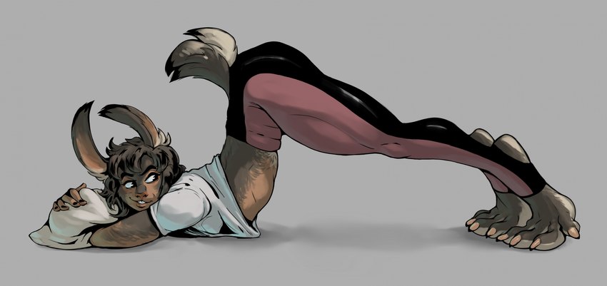 anthro ass_up bottomwear brown_body brown_fur claws clothing female fur fur_growth grey_background growth human_to_anthro looking_back lying mid_transformation on_front pants paws pillow shirt simple_background solo species_transformation toe_claws topwear transformation yoga yoga_pants bonktubaroa lagomorph leporid mammal rabbit hi_res