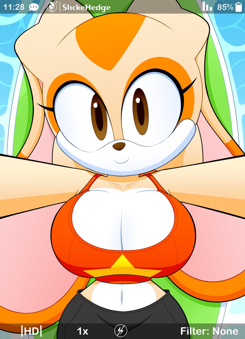 aged_up anthro big_breasts bottomwear breasts camera_hud cleavage clothed clothing female lying midriff on_back selfie shirt shorts solo swimming_pool tank_top topwear slickehedge sega sonic_the_hedgehog_(series) cream_the_rabbit lagomorph leporid mammal rabbit 2024 absurd_res hi_res