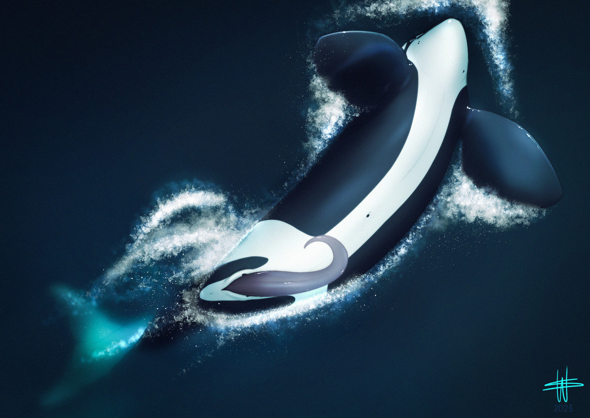 Wesphin hentai videos, GIFs, and images | Rule 34 App