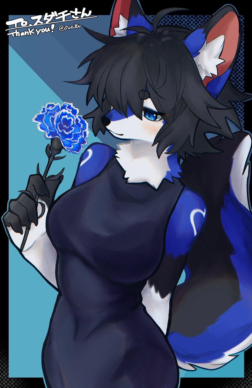 abstract_background anthro black_body black_clothing black_fur black_hair blue_body blue_eyes blue_flower blue_fur blush breasts carnation clothing dipstick_ears dipstick_fingers dress ear_markings female flower fluffy fluffy_tail fur hair hand_behind_back heart_(marking) heart_symbol holding_flower holding_object inner_ear_fluff looking_at_flower looking_at_object looking_at_plant markings multicolored_ears neck_tuft plant short_hair solo stripes tail text tuft white_body white_fur sue36v saki_(garasaki) canid canine mammal absurd_res artist_name commissioner_name hi_res portrait three-quarter_portrait