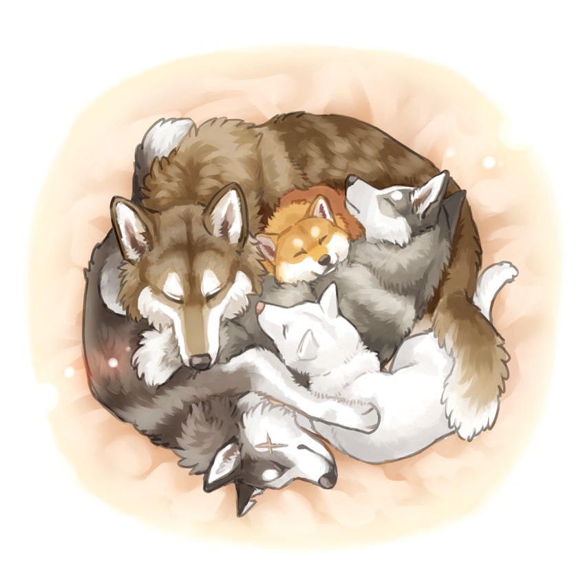 anthro dog_pile eyes_closed feral group sleeping ayaka a-chan fuuga kyappy mashiro shibeta canid canine canis domestic_dog husky hybrid kishu_inu mammal nordic_sled_dog shiba_inu spitz wolfdog 1:1 hi_res