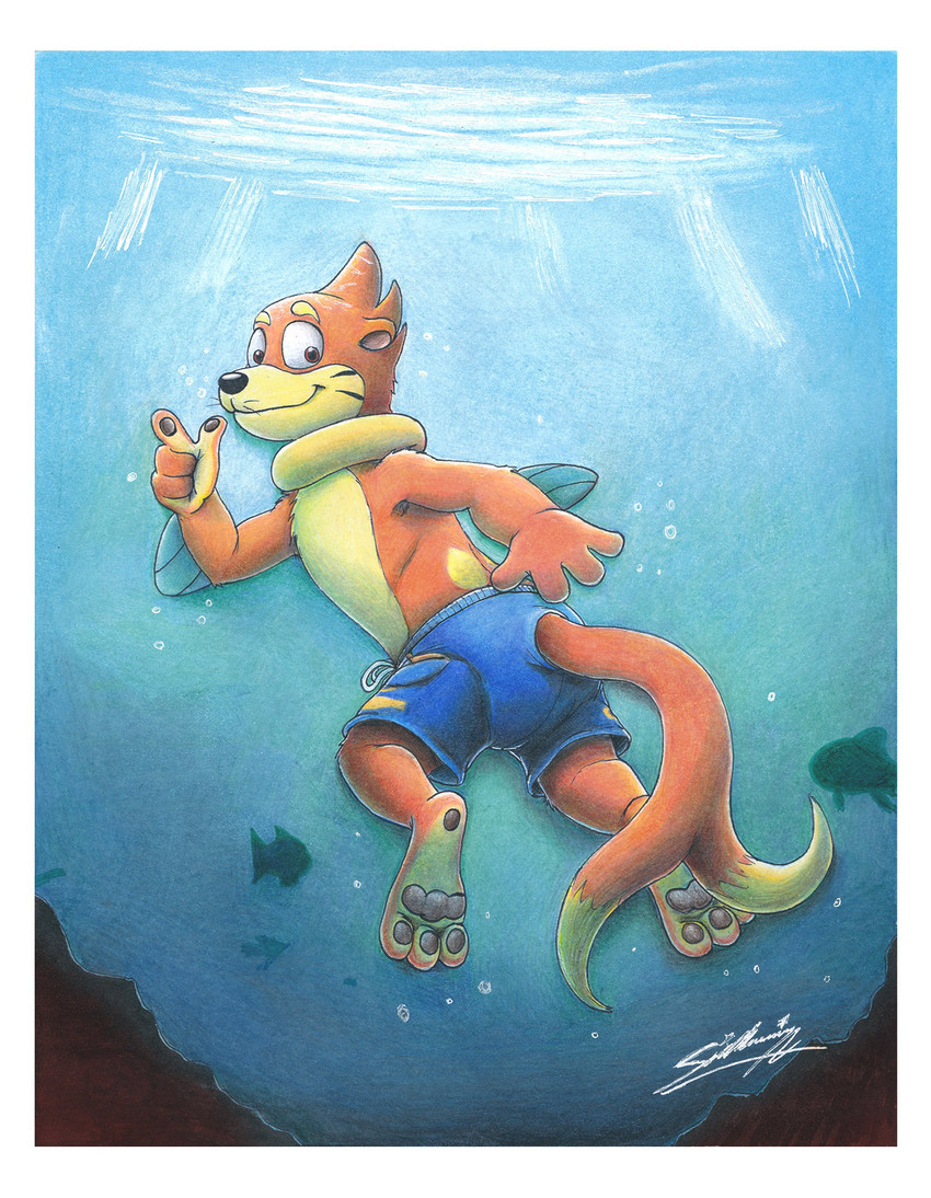 anthro blue_clothing blue_swimming_trunks blue_swimwear clothing fur male orange_body orange_fur solo swimming swimming_trunks swimwear underwater water sagadreams nintendo pokemon buizel generation_4_pokemon pokemon_(species) hi_res