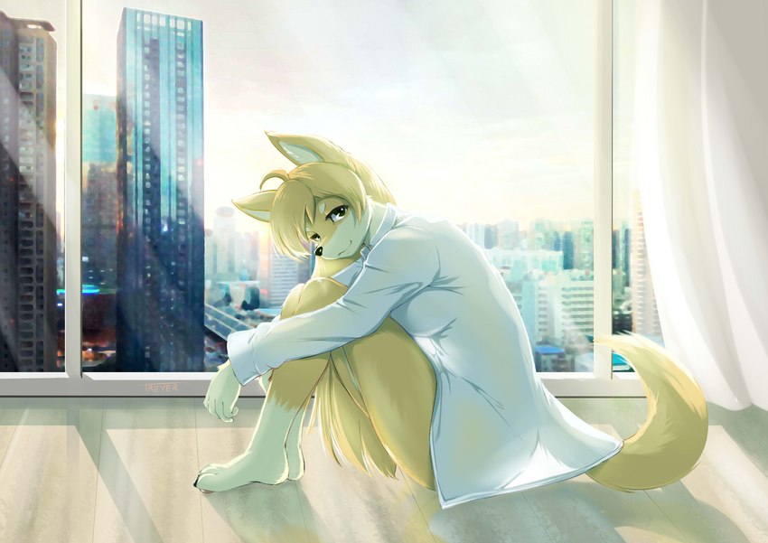 anthro black_nose blonde_hair breasts city cityscape curtains day female fur hair inside looking_at_viewer side_view smile solo window yellow_body yellow_fur treyer treyer_(character) canid canine canis domestic_dog mammal 2020 hi_res