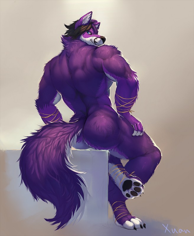 anthro back_muscles biceps biped black_hair black_nose black_pawpads blue_eyes bubble_butt butt claws fur hair looking_at_viewer looking_back looking_back_at_viewer male muscular muscular_anthro muscular_male nude pawpads paws pose purple_body purple_fur purple_hair rear_view rope sitting smile solo toe_claws white_body white_fur xuan_sirius shyloc canid canine canis fox hybrid mammal wolf digital_media_(artwork) full-length_portrait hi_res portrait