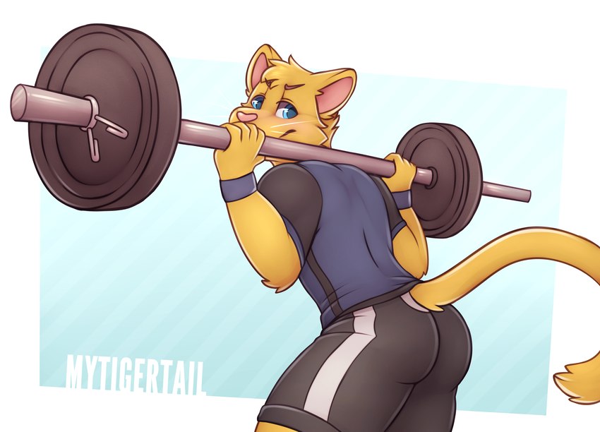 5_fingers anthro blue_eyes bottomwear butt clothed clothing exercise fingers fur fur_tuft head_tuft male orange_body orange_fur pink_nose shirt shorts solo tail topwear tuft weightlifting whiskers workout mytigertail takathekitty domestic_cat felid feline felis mammal hi_res