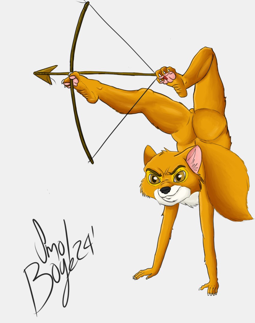 angry anthro archer archery arrow_(weapon) balls brown_eye butt claws contortionism feet flexible foot_archery fur genitals handstand long_tail male nails orange_body orange_fur pawpads ranged_weapon rear_view solo spread_legs spreading tail toe_claws toes weapon white_body white_fur yellow_body yellow_fur young smol_boye disney robin_hood_(disney) robin_hood canid canine fox mammal red_fox true_fox hi_res