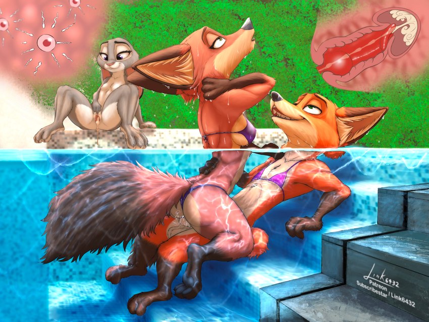 3_toes anthro anthro_on_anthro anthro_penetrated anthro_penetrating anthro_penetrating_anthro balls bikini bodily_fluids breasts butt cervical_penetration claws clothed clothing cowgirl_position crossdressing cum cum_from_pussy cum_in_pussy cum_in_uterus cum_inside cutaway dipstick_tail duo erection feet female female_anthro from_front_position fur genital_fluids genitals gloves_(marking) grey_body grey_fur group group_sex impregnation internal internal_vaginal knotting leaking_cum leg_markings male male/female male_anthro male_penetrating markings mature_anthro mature_female multiple_ova nipples nude nude_anthro nude_female on_bottom on_top open_mouth ovum partially/partially_submerged partially_submerged pawpads penetration penile penile_penetration penis penis_in_pussy pool pussy red_penis refraction sex side_boob simple_background smile socks_(marking) sperm_cell spread_legs spreading swimwear tail tail_markings thick_thighs toe_claws toes tongue trio two-piece_swimsuit under_boob uterus vaginal vaginal_penetration water wet link6432 disney zootopia judy_hopps mrs._wilde nick_wilde canid canine fox lagomorph leporid mammal rabbit red_fox true_fox 4:3 digital_media_(artwork) hi_res incest_(lore) mother_(lore) mother_and_child_(lore) mother_and_son_(lore) parent_(lore) parent_and_child_(lore) parent_and_son_(lore) son_(lore)