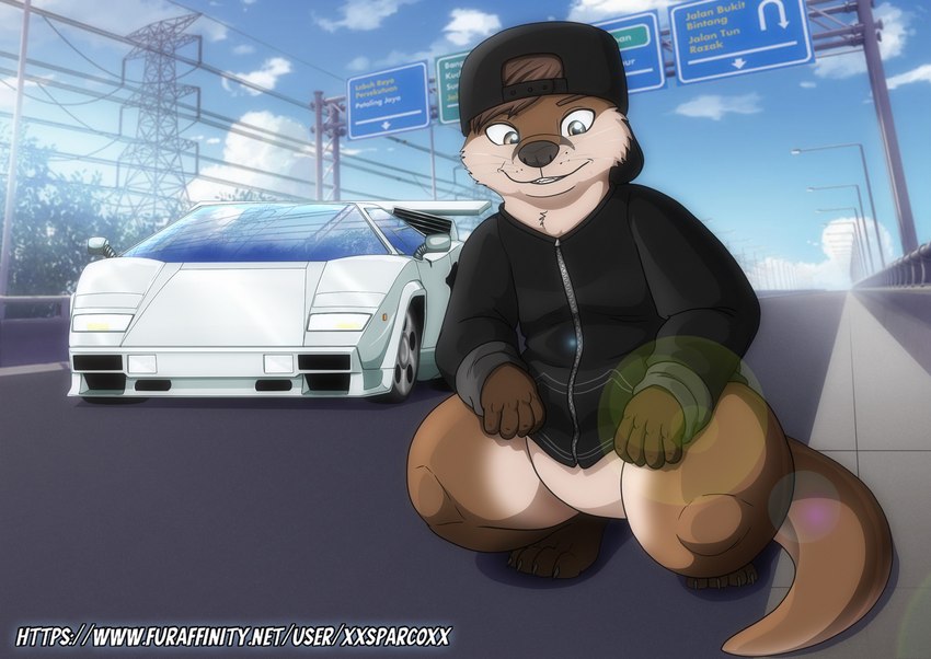 anthro brown_eyes brown_hair car clothing crouching featureless_crotch fur hair hat headgear headwear highway jacket male multicolored_body multicolored_fur road sign solo text topwear two_tone_body two_tone_fur vehicle xxsparcoxx lamborghini lamborghini_countach ronnie_lancer mammal mustelid otter 2024 hi_res