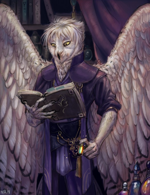 5_fingers anthro beak black_beak book bookshelf chain clothed clothing detailed_background feathered_wings feathers fingers furniture hair holding_book holding_object male messy_hair potion potion_bottle pupils purple_clothing purple_curtains reading reading_book solo standing white_body white_feathers white_hair wings yellow_eyes yellow_sclera nukerooster avian barn_owl bird owl tyto tytonid 2018 digital_media_(artwork) hi_res