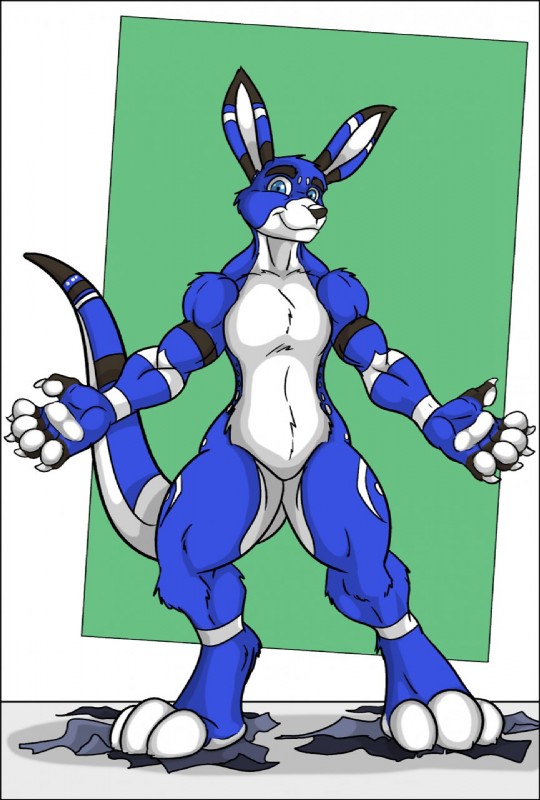 after_transformation anthro blue_body blue_eyes blue_fur claws feet fur hindpaw male nude pawpads paws solo tail transformation black-rat avalon avalon_(blueavian) avalondragon avalonjay kangaroo macropod mammal marsupial hi_res