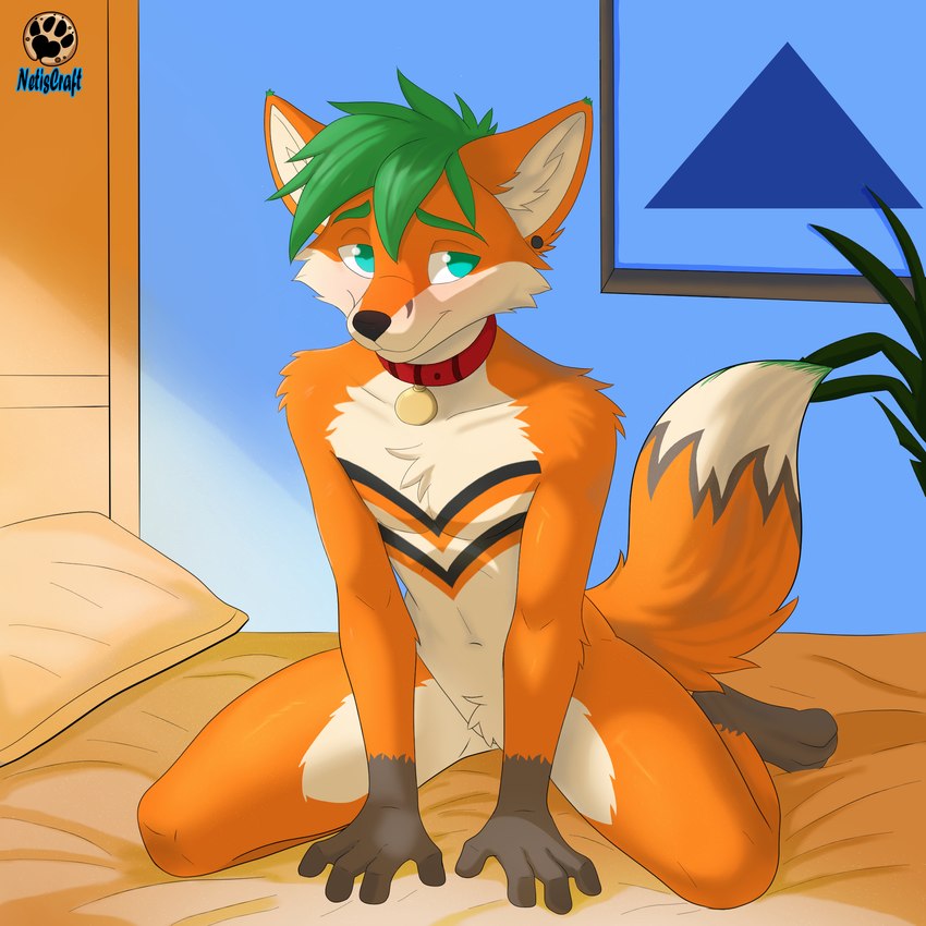 anthro bed bedroom blush carpet collar furniture green_eyes green_hair hair kneeling male paws picture_frame pillow plant short_hair shy solo stripes netiscraft canid canine fox mammal 1:1 full-length_portrait hi_res portrait