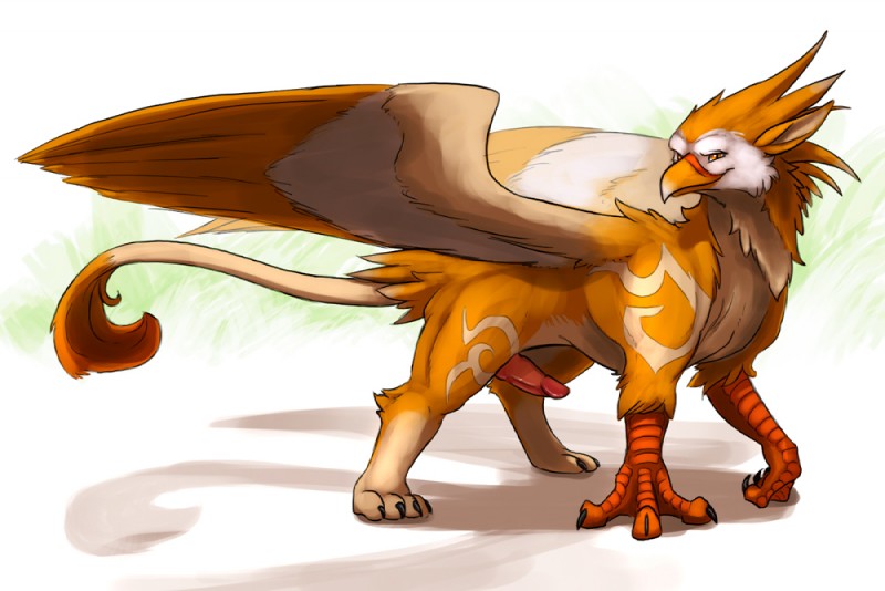 beak claws erection feathered_wings feathers feral genitals knot looking_at_viewer male nude orange_body orange_feathers penis simple_background solo tail white_background wings syrinoth mythology kpheri avian gryphon mythological_avian mythological_creature 2013