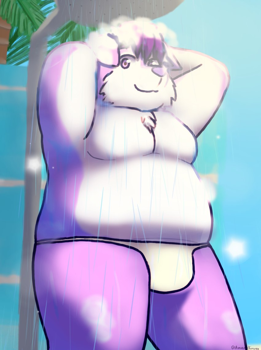 anthro bathing beach belly bulge chest_tuft clothing dripping_wet floppy_ears fur hair hands_behind_head male overweight overweight_anthro overweight_male palm_tree plant purple_body purple_fur purple_hair shower showering solo swimwear thong tree tuft underwear wet white_body white_fur amanekiryuu chihiro_(calahootheyeen) canid canine canis mammal wolf hi_res