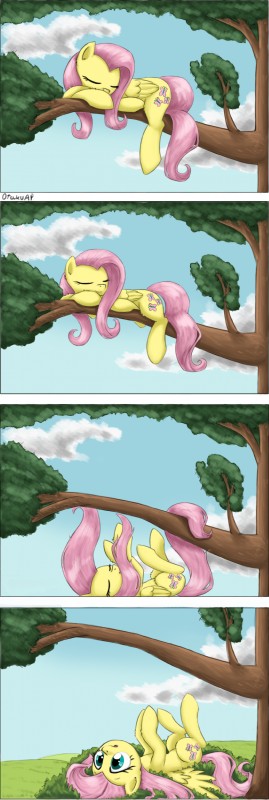 fluttershy (friendship is magic and etc) created by otakuap