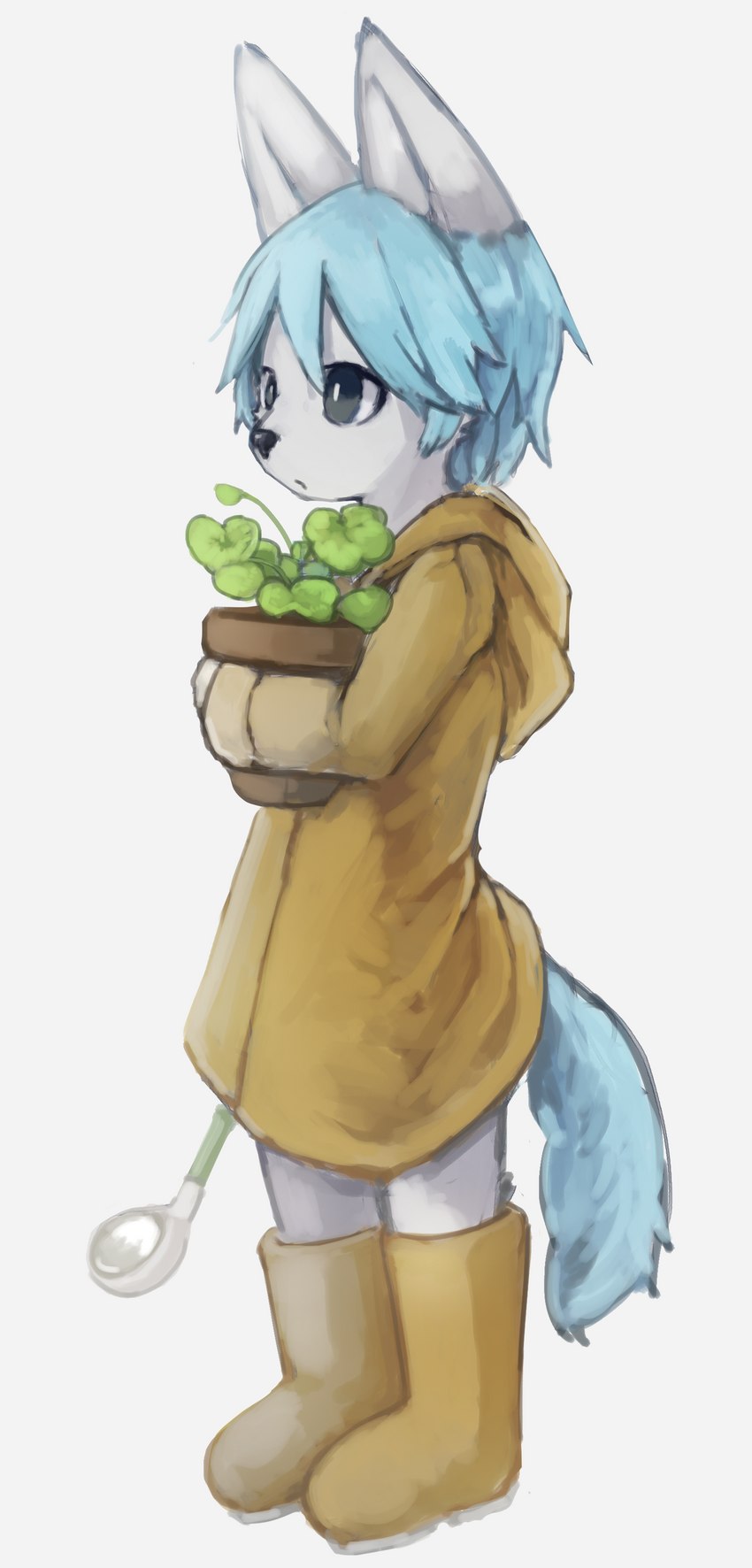 ambiguous_gender anthro black_eyes blue_hair blue_tail clothed clothing coat hair holding_object holding_plant kemono plant plant_pot potted_plant raincoat rubber_boots simple_background solo standing tail topwear white_background white_body white_ears white_face yellow_raincoat young young_anthro naegi teru_(naegi) canid canine fox mammal 2019 absurd_res digital_media_(artwork) digital_painting_(artwork) hi_res shaded