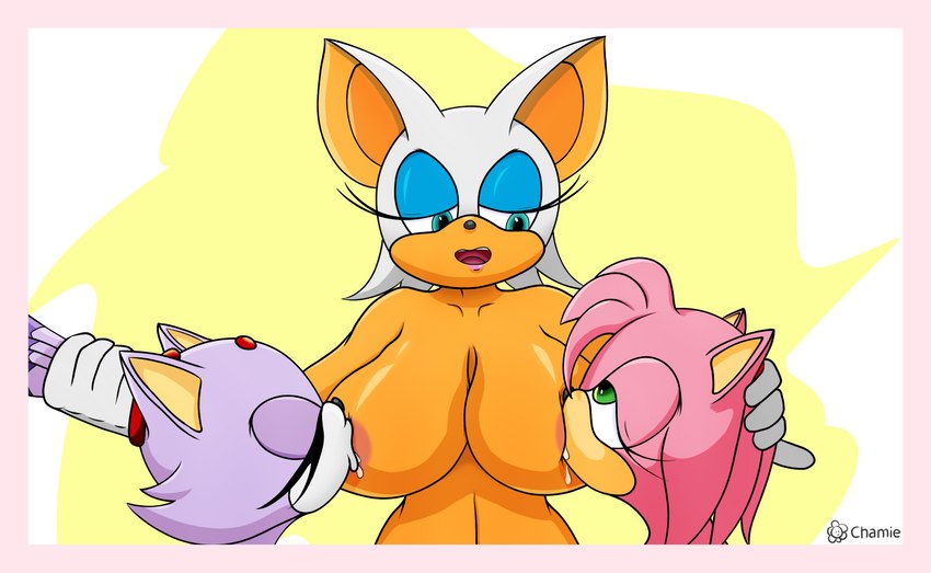 amy rose, blaze the cat, and rouge the bat (sonic the hedgehog (series) and etc) created by chamie