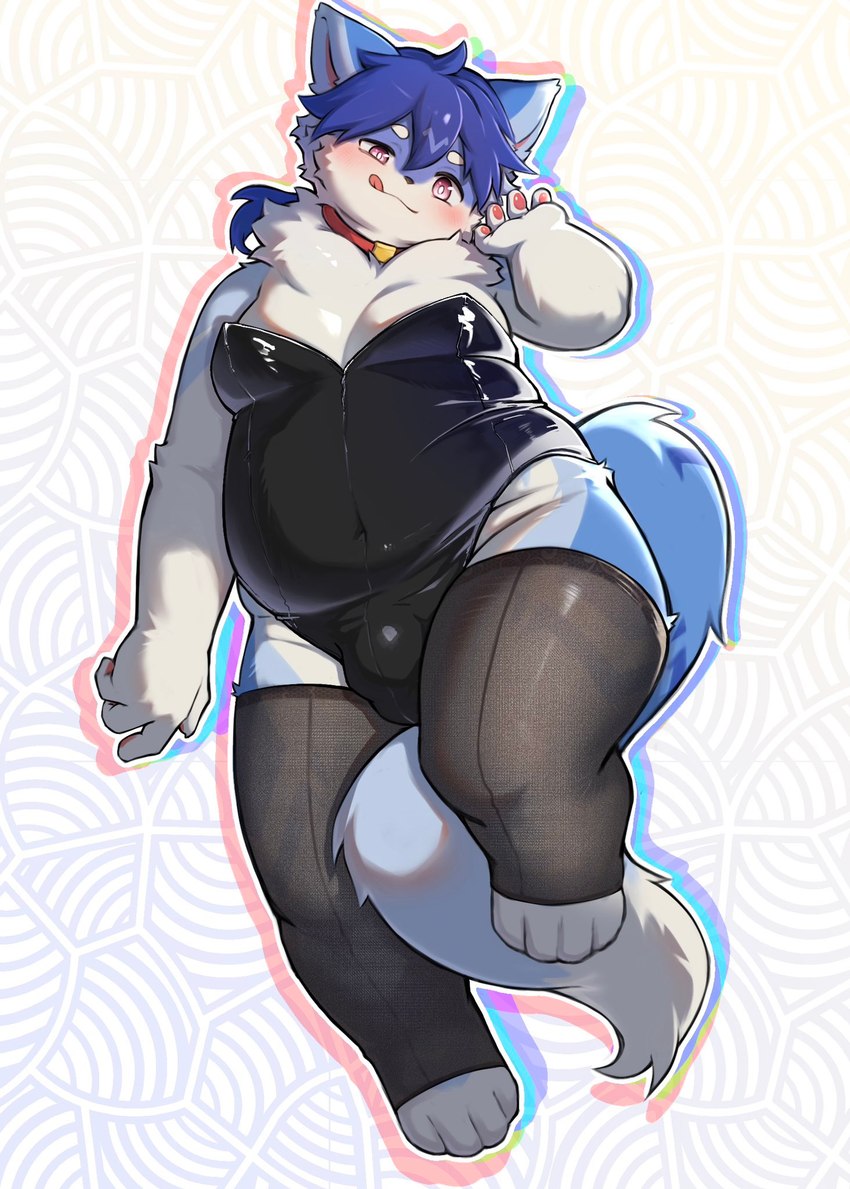 anthro belly blue_body blue_fur blush bulge clothing collar fur kemono legwear licking licking_lips male moobs navel overweight playboy_outfit solo stockings tongue tongue_out navi_(artist) canid canine canis mammal wolf hi_res