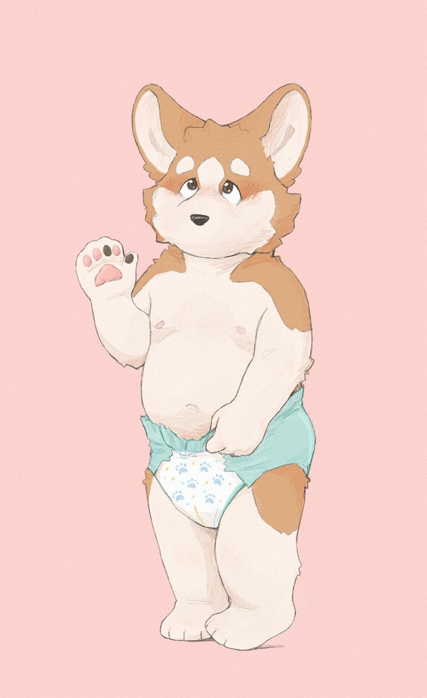 ageplay anthro blush clean_diaper clothed clothing diaper diaper_only fur grabbing_diaper hand_on_diaper infantilism looking_up male multicolored_body nipples pantsless pawpads raised_hand roleplay size_difference slightly_chubby smaller_anthro smaller_male solo topless touching_diaper two_tone_body wearing_diaper wetness_indicator white_body white_fur fluffypamps corey(fluffypamps) canid canine canis domestic_dog herding_dog mammal pastoral_dog welsh_corgi hi_res