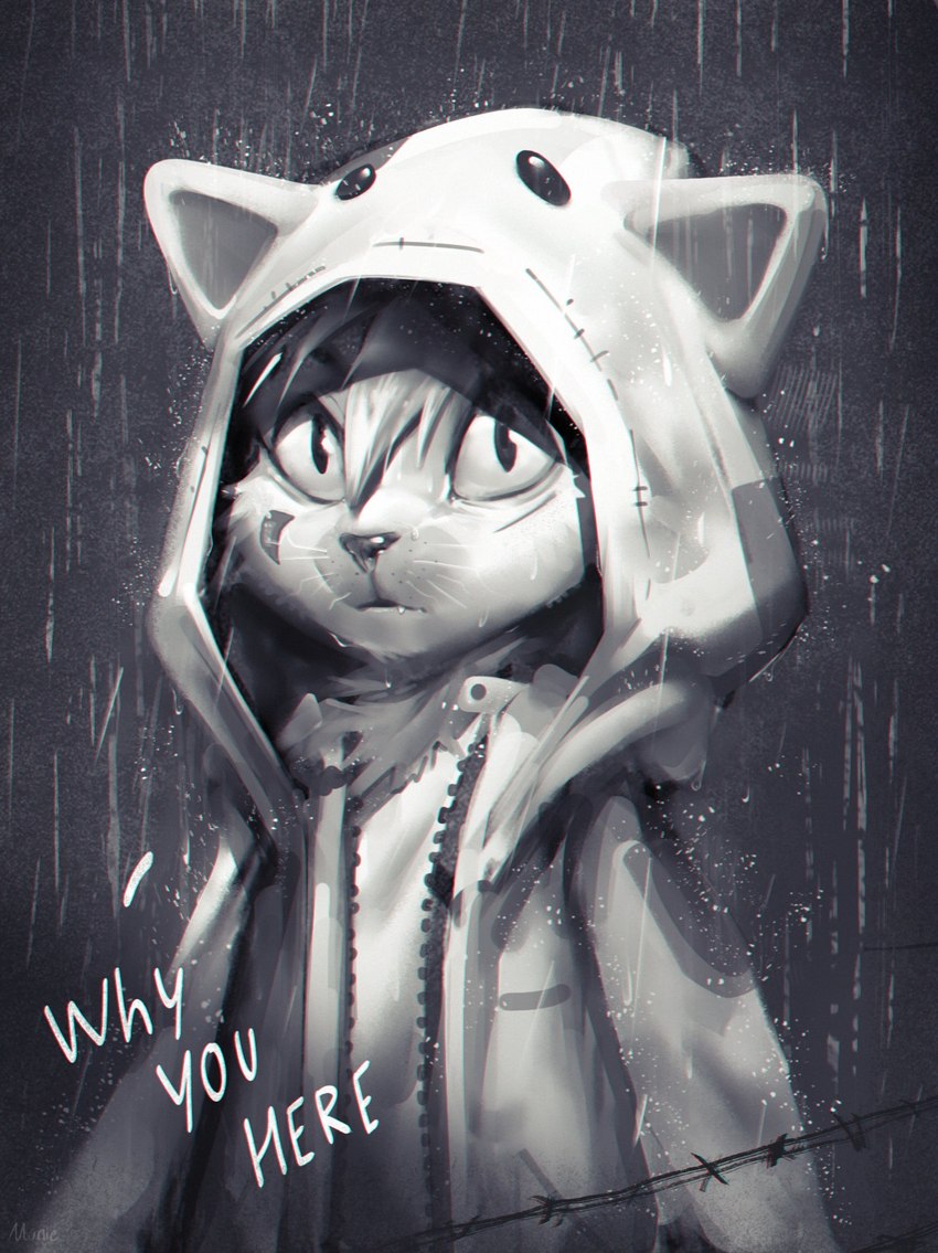 ambiguous_gender animal_hood anthro clothed clothing jacket light raining solo text topwear munie domestic_cat felid feline felis mammal 2023 detailed digital_media_(artwork) digital_painting_(artwork) english_text greyscale half-length_portrait hi_res lighting monochrome painting_(artwork) portrait shaded