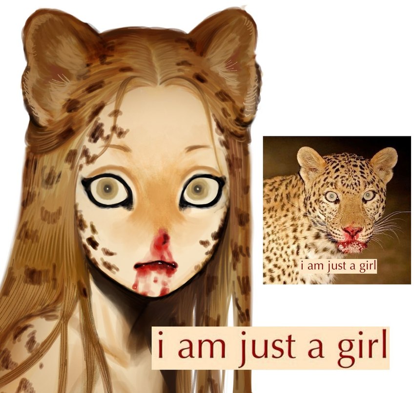 :< animal_ears anthro blood blood_on_face bodily_fluids brown_eyes brown_hair female gore hair humanoid_face leopard_ears leopard_girl long_hair looking_at_viewer monster_girl_(genre) personification reference_inset shitpost simple_background solo text upper_body white_background yuliqqq animal_humanoid felid felid_humanoid humanoid leopard_humanoid mammal mammal_humanoid pantherine pantherine_humanoid english_text meme