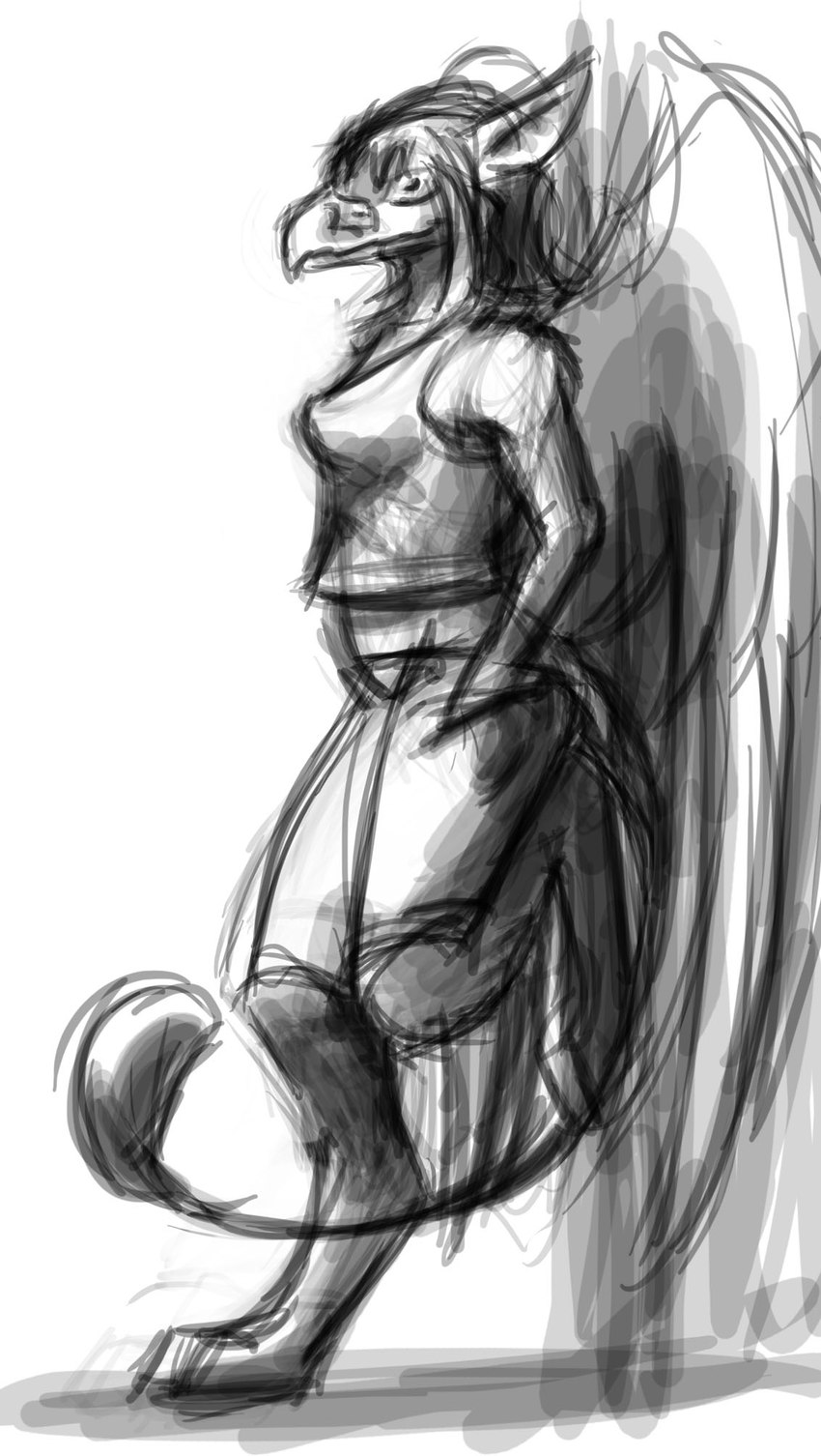 anthro bottomwear breasts burd clothed clothing female fully_clothed long_tail medium_breasts non-mammal_breasts pants shirt side_view simple_background solo standing tail tail_tuft tank_top topwear tuft white_background wings rhaenjarr mythology avian bird gryphon mythological_avian mythological_creature hi_res monochrome sketch