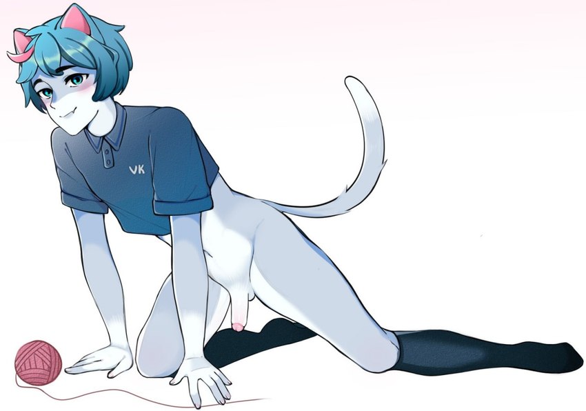 clothing genitals legwear male penis shirt solo stockings topwear unknown_artist vkontakte sima_(vkontakte) domestic_cat felid feline felis humanoid mammal