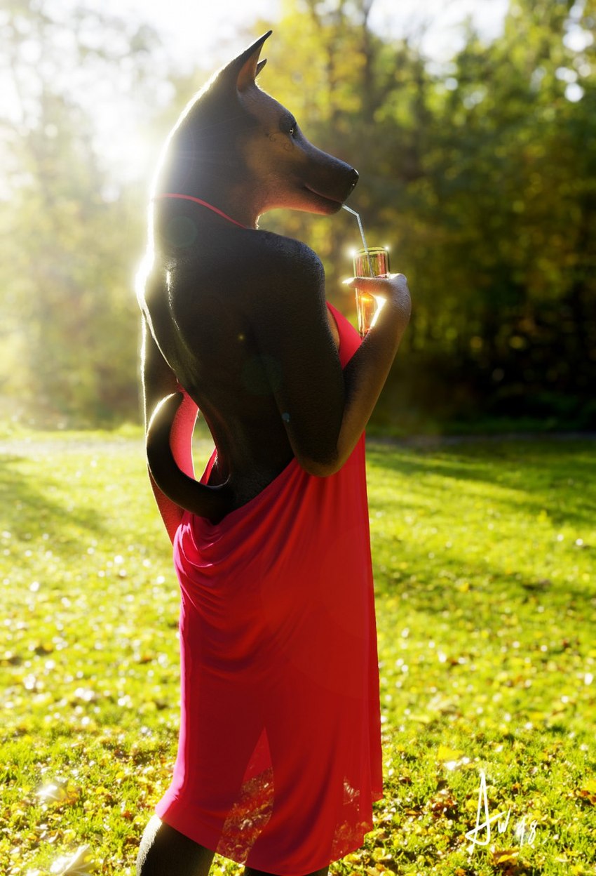 anthro backless_clothing backless_dress beverage black_body black_fur black_nose breasts butt clothed clothing container cup detailed_background dress drinking drinking_glass drinking_straw female fingers forest fur glass glass_container glass_cup grass holding_beverage holding_object light light_beam looking_at_viewer looking_back open_back_dress outside plant rear_view red_clothing red_dress sky smile solo standing tail tree auroraweaver canid canine canis domestic_dog german_shepherd herding_dog mammal pastoral_dog 2018 3d_(artwork) digital_media_(artwork) hi_res