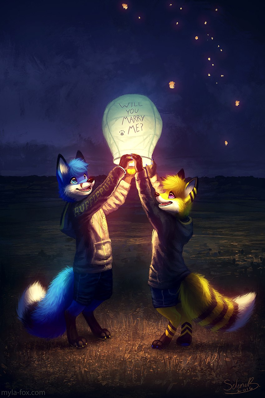 anthro barefoot black_nose blonde_hair blue_body blue_eyes blue_fur blue_hair blue_tail bottomwear clothed clothing digitigrade duo feet fur glistening glistening_eyes grey_clothing grey_hoodie grey_topwear hair happy hoodie lamp lantern male night open_mouth open_smile outside paper_lantern pawpads pink_eyes shorts sky_lantern smile standing tail topwear white_body white_fur white_tail yellow_body yellow_fur yellow_pawpads yellow_tail mylafox canid canine fox mammal 2016 dated hi_res