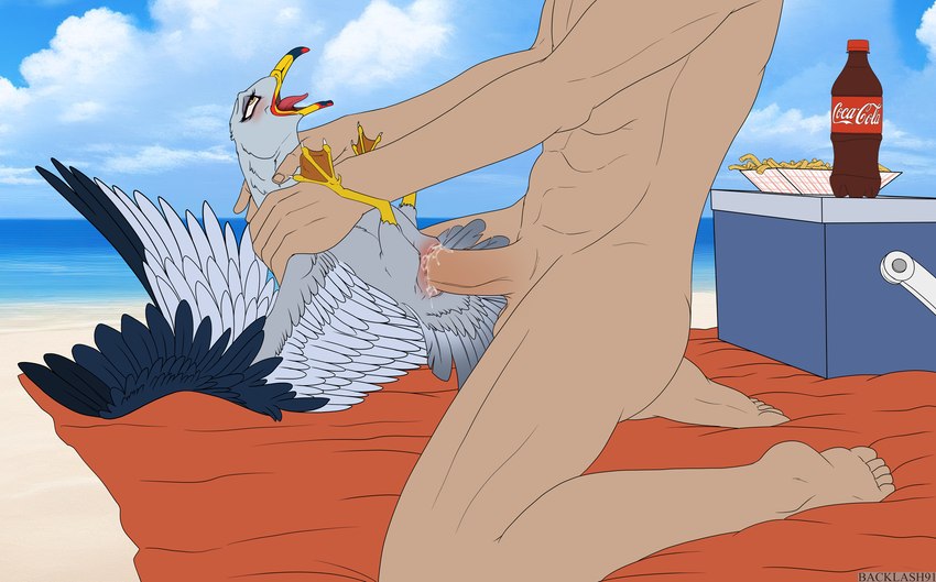 avian_feet beach beach_towel beak bestiality big_dom_small_sub bodily_fluids cloacal cloacal_penetration cooler cum cum_in_cloaca cum_inside day detailed_background dominant duo eyelashes feathered_wings feathers feet female female_feral female_on_human feral feral_penetrated food fries genital_fluids human_on_feral human_penetrating human_penetrating_female human_penetrating_feral interspecies larger_human larger_male male male/female male_human male_on_feral membrane_(anatomy) nude open_beak open_mouth outside penetration penile penile_penetration penis_in_cloaca sea seaside sex size_difference sky smaller_female smaller_feral smaller_penetrated soda_bottle tail tail_feathers toes towel water webbed_feet wings backlash91 conditional_dnp coca-cola avian bird gull human lari larid mammal hi_res