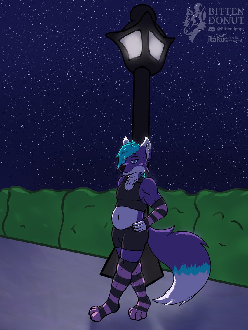 anthro armwear black_clothing black_nose blue_eyes blue_hair bottomwear clothing crop_top deep_navel elbow_gloves fur gloves hair hair_over_eye hand_on_hip handwear leaning_on_object legwear looking_at_viewer male midriff navel night outside pattern_clothing plant purple_body purple_fur seductive shirt shorts shrub sky slightly_chubby slightly_chubby_anthro slightly_chubby_male solo star starry_sky street_lamp striped_clothing stripes tail thigh_highs topwear bittendonut mox_(antillion123) canid canine fox mammal 2024 absurd_res digital_media_(artwork) hi_res watermark