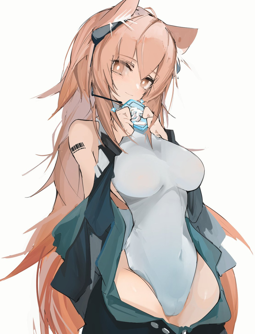 blush breasts camel_toe clothing female hair jacket leotard long_hair looking_at_viewer navel simple_background smile solo topwear white_background mikojin arknights hypergryph studio_montagne gravel_(arknights) animal_humanoid humanoid 2021 hi_res