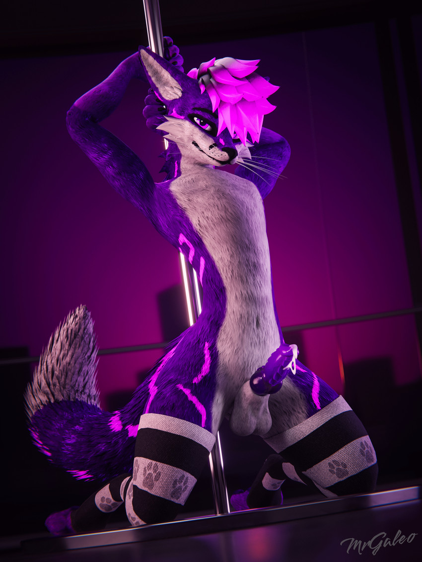 animal_genitalia animal_penis anthro balls bodily_fluids canine_genitalia canine_penis clothed clothing cum cum_drip cum_on_penis dancing dripping erection fur genital_fluids genitals hair knot knotted_penis legwear looking_at_viewer male nude penis pole pole_dancing presenting purple_body purple_eyes purple_fur simple_background smile solo stripper stripper_pole tail teasing teasing_viewer thick_thighs thigh_highs mrgaleo mammal rexouium 3:4 3d_(artwork) absurd_res blender_(artwork) blender_cycles_(artwork) digital_media_(artwork) hi_res