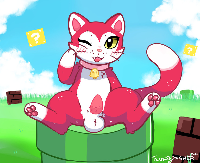 kitten (bowser's fury and etc) created by fluffydasher