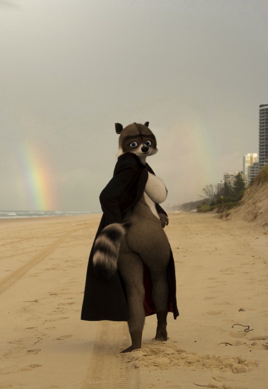 alternate_form anthro anthrofied beach big_breasts big_butt blue_eyes breasts brown_body brown_fur butt cloud crossgender curvy_figure detailed_background feet female fur grass looking_at_viewer markings mtf_crossgender nipples outside overcast plant rainbow sand seaside sky solo striped_body striped_fur striped_markings striped_tail stripes tail tail_markings tan_body tan_fur thick_thighs voluptuous water oystercatcher7 third-party_edit dreamworks over_the_hedge rj_(over_the_hedge) mammal procyonid raccoon hi_res photo_manipulation photomorph